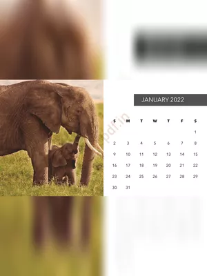 Table Top Calendar 2022