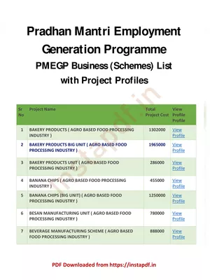 PMEGP Business (Scheme) List 2025