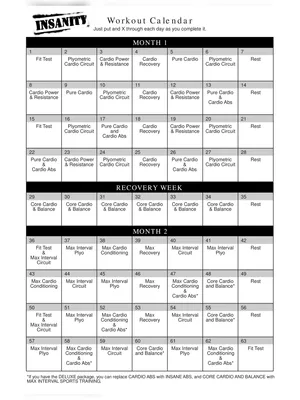 Insanity Workout Calendar