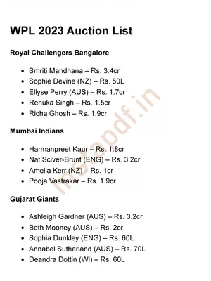 WPL Auction List