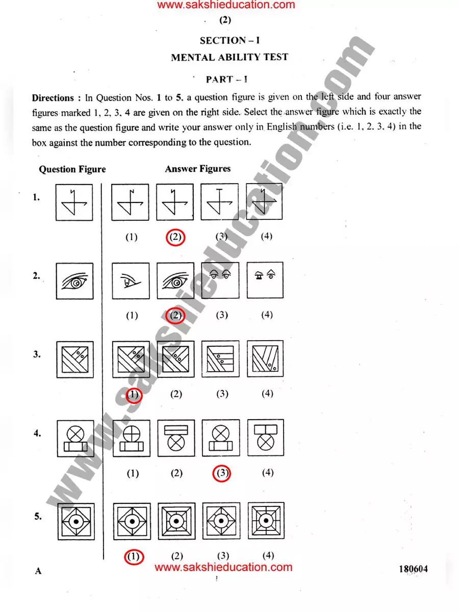 essay 1 exam paper 6th class