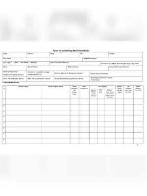 SHG Business Plan Form Assam