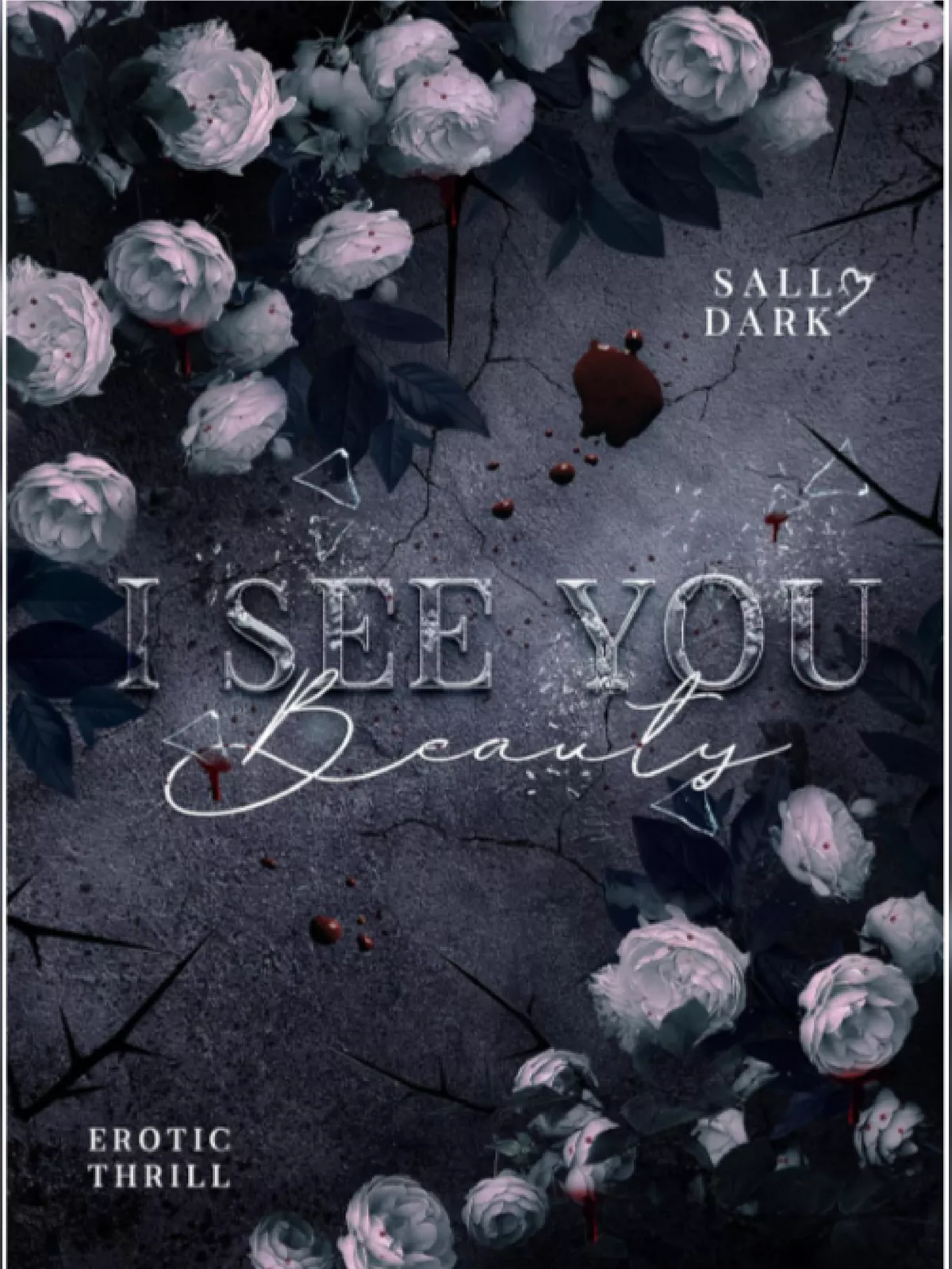 I See You Beauty Book Sally Dark PDF – InstaPDF