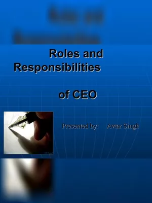 Roles And Responsibilities of CEO