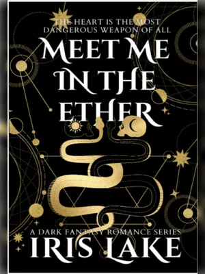 Meet Me in The Ether Book