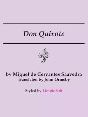 Don Quixote Book