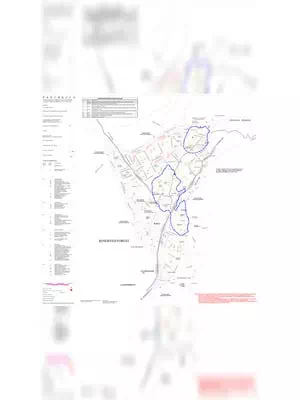 Pinjore Master Plan 2031